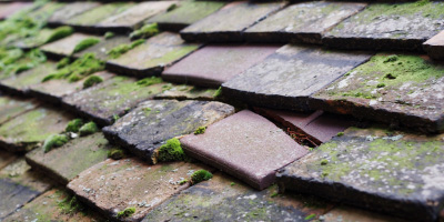 Lands End roof repair costs